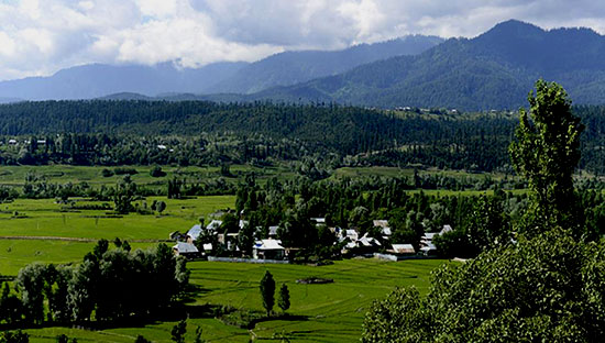 Tosha Maidaan, Kupwara Kupwara - J&K